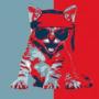 ROAR