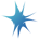NER