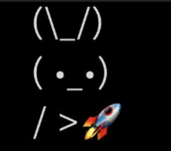 BUNNYROCKET