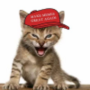MKITTY