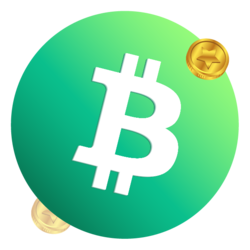 1BCH