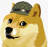 DGAT