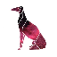 GREYHOUND