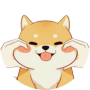 Baby Shiba Inu