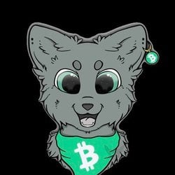 $CATS