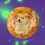 RDOGE