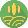 ZEFI