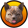 KAIINU