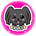 PULI