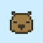 CapybaraDEX