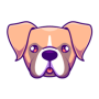 BOXER