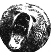 DEFIBEAR