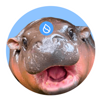 $HIPPO