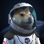 SPACEXDOGE