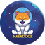 NASADOGE