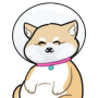 HSHIBA